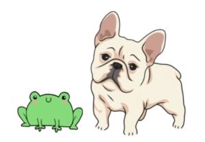 frog dog french bulldog