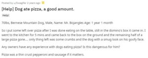 can dogs eat pizza reddit