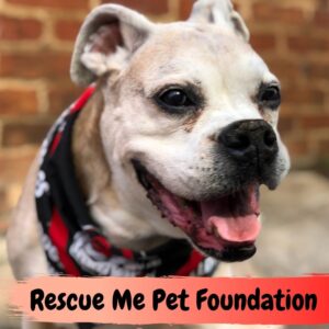 Rescue Me Pet Foundation Review