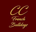 Coronado Crown French Bulldog