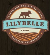 lilybelle farms