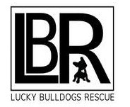 lucky bulldog rescue