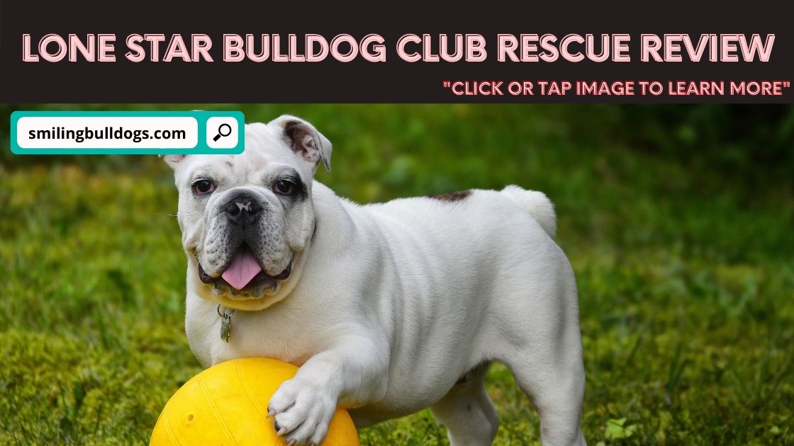 lone star bulldog club rescue
