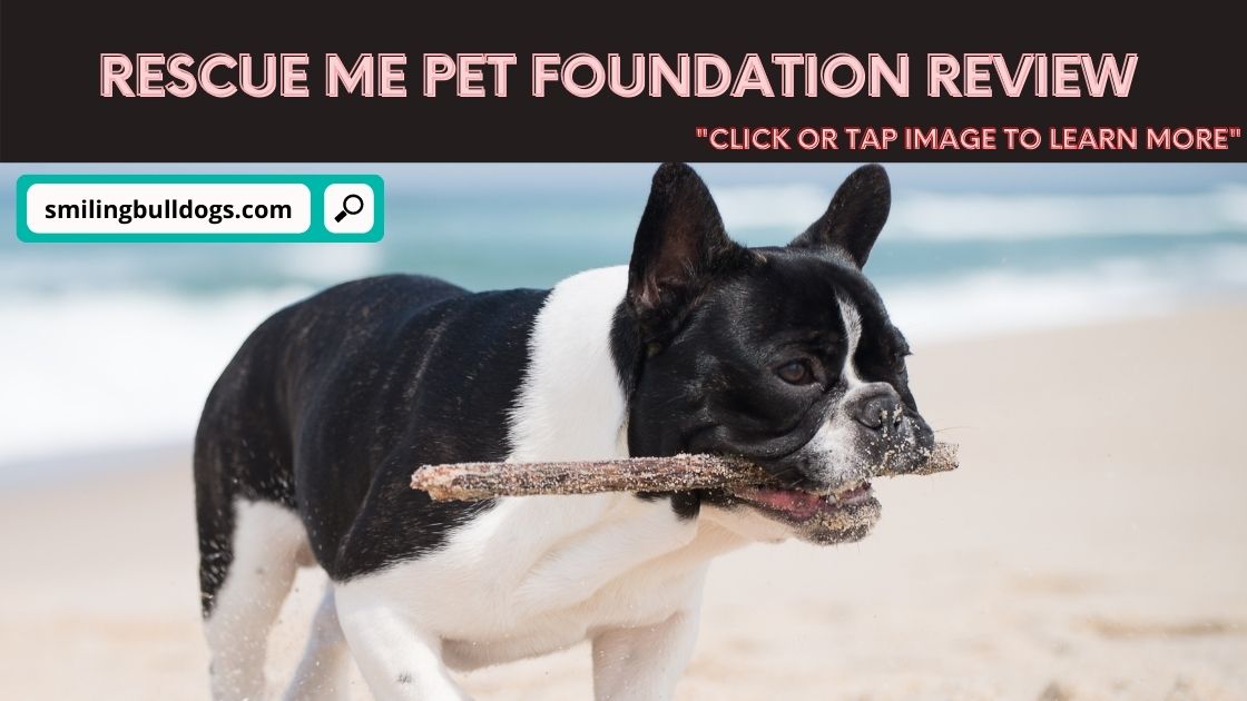 Rescue Me Pet Foundation Review