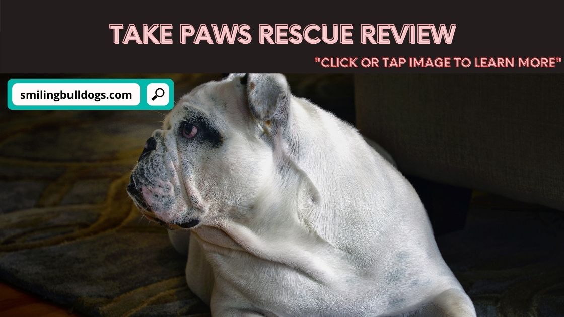 Take Paws Rescue Review