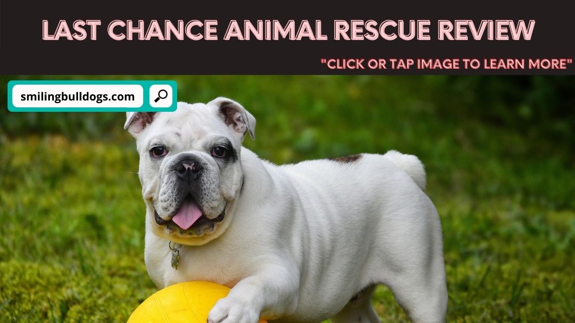 last chance animal rescue