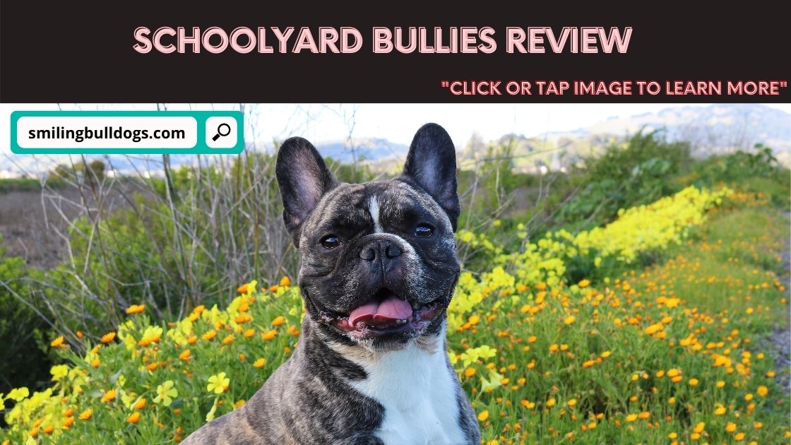 Schoolyard Bullies Review