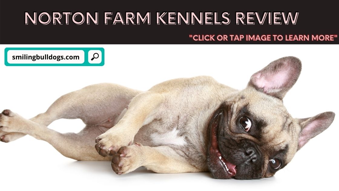 Norton Farm Kennels Review