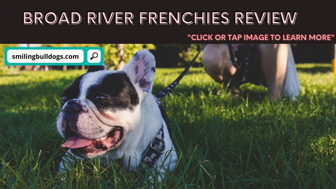 broad river frenchies review